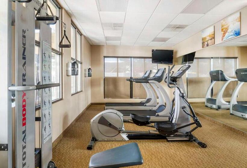 Отель Comfort Inn & Suites