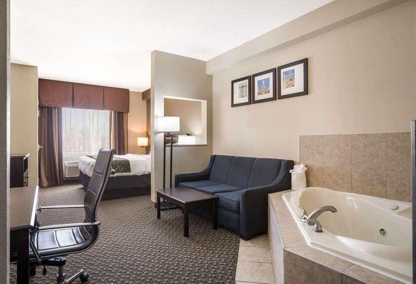 호텔 Comfort Suites Forsyth Near I75