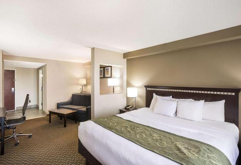 호텔 Comfort Suites Forsyth Near I75