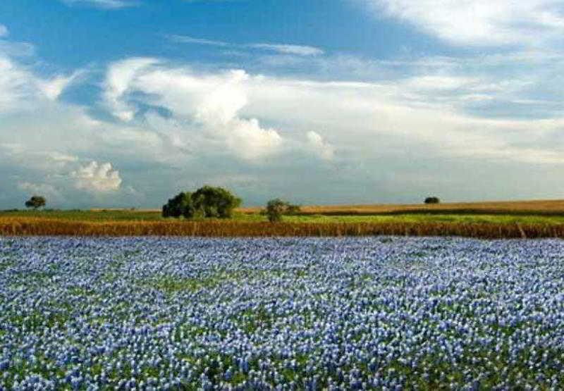 هتل Courtyard Marriott Houston Pearland
