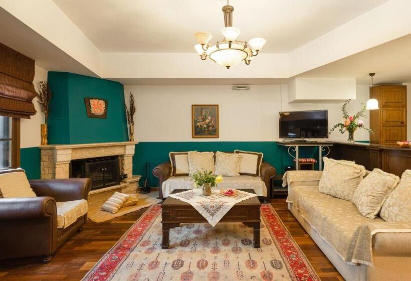 ホテル Dimosthenis Traditional Guesthouse