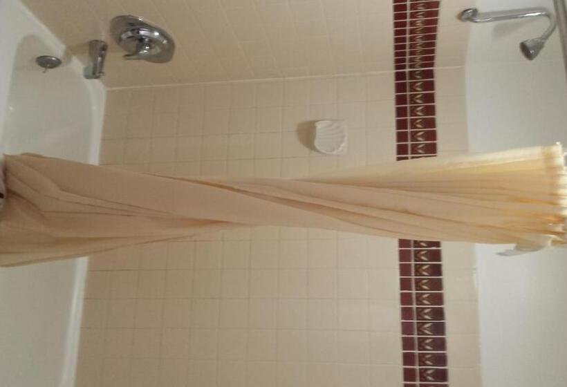 בית מלון כפרי Executive Inn & Suites