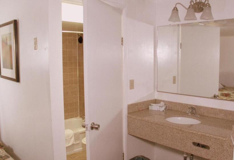 בית מלון כפרי Executive Inn & Suites