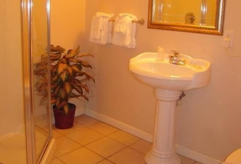 هتل Colonie Inn And Suites