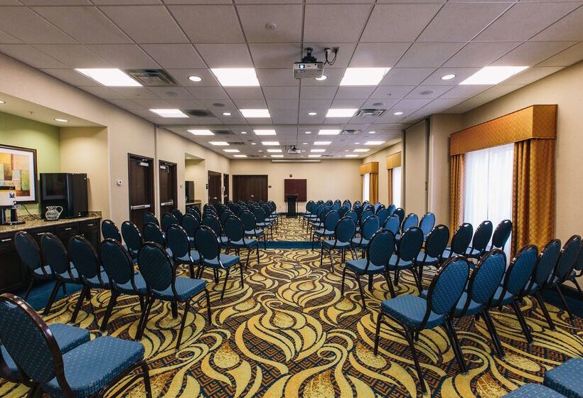 בית מלון כפרי Hampton Inn & Suites Effingham