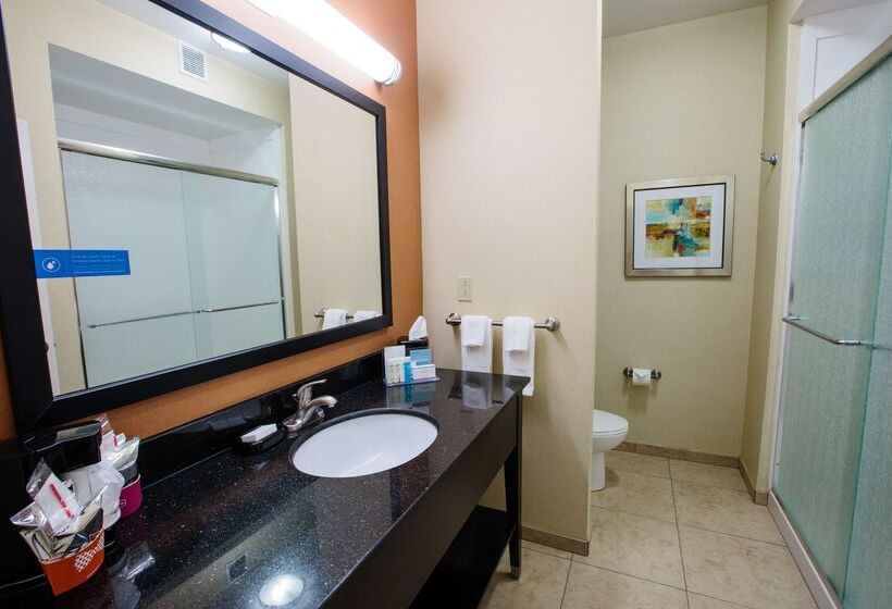 בית מלון כפרי Hampton Inn & Suites Effingham
