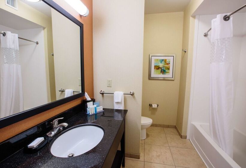 בית מלון כפרי Hampton Inn & Suites Effingham