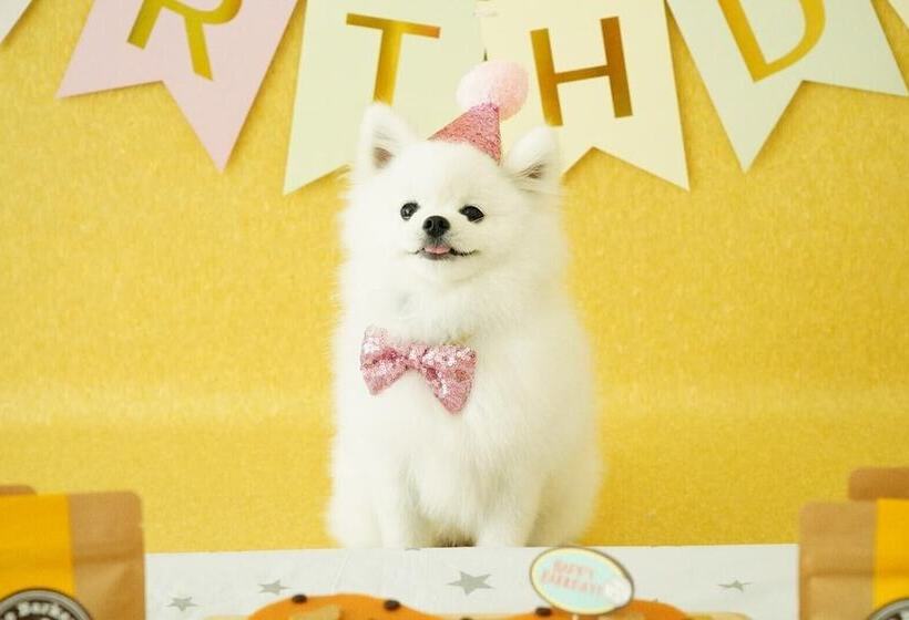 Fotos del hotel Holiday Inn Express  Times Square South, An Ihg:  18