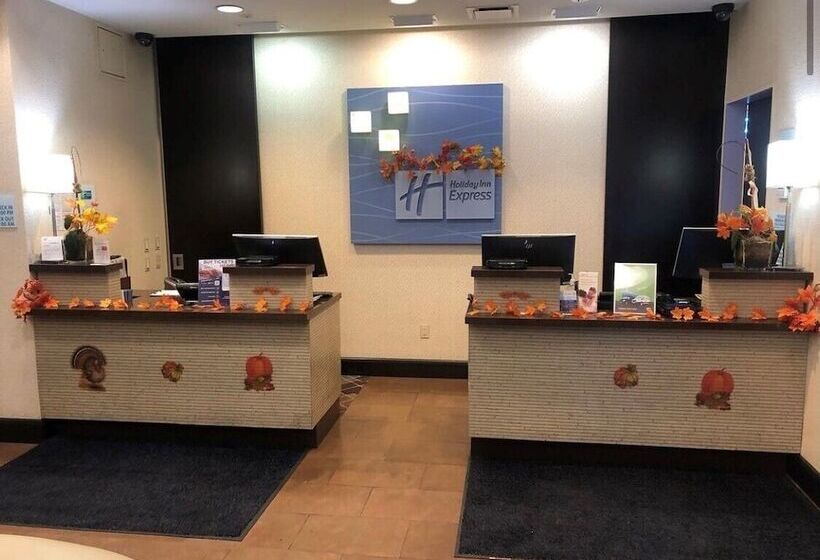 Fotos del hotel Holiday Inn Express  Times Square South, An Ihg:  17