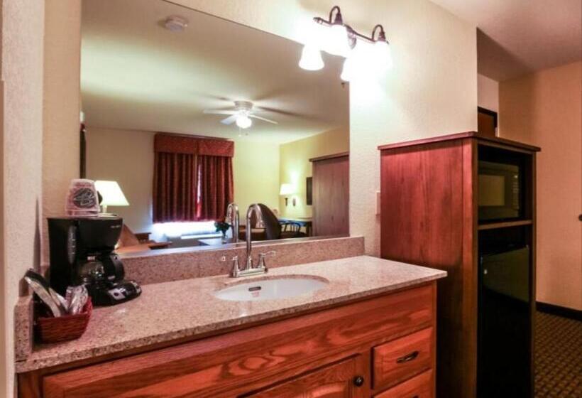 هتل Mountain Inn & Suites Airport   Hendersonville