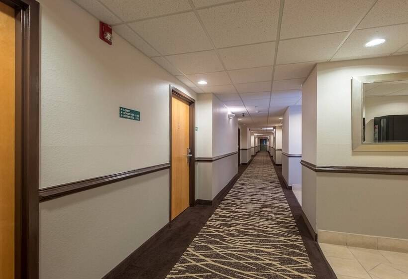 בית מלון כפרי Red Roof Inn & Suites Biloxi   Ocean Springs