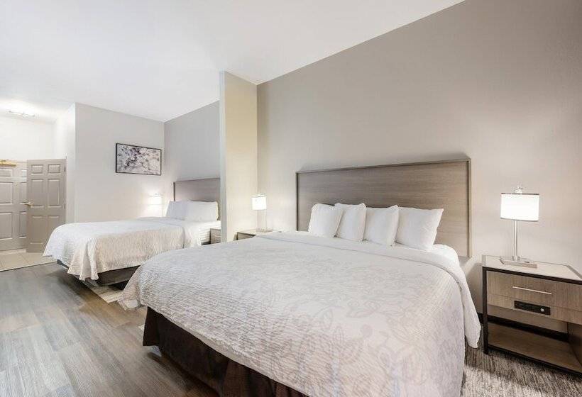 בית מלון כפרי Red Roof Inn Plus & Suites Birmingham   Bessemer