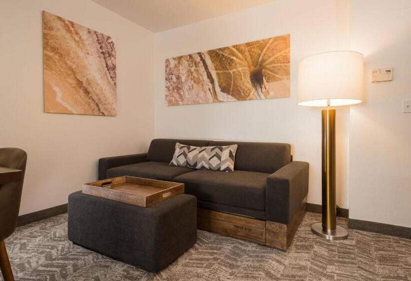酒店 Springhill Suites Quakertown Pennsylvania