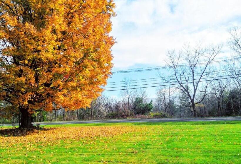 فندق Starlight Inn