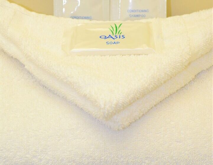 モーテル Budget Inn Falls Church