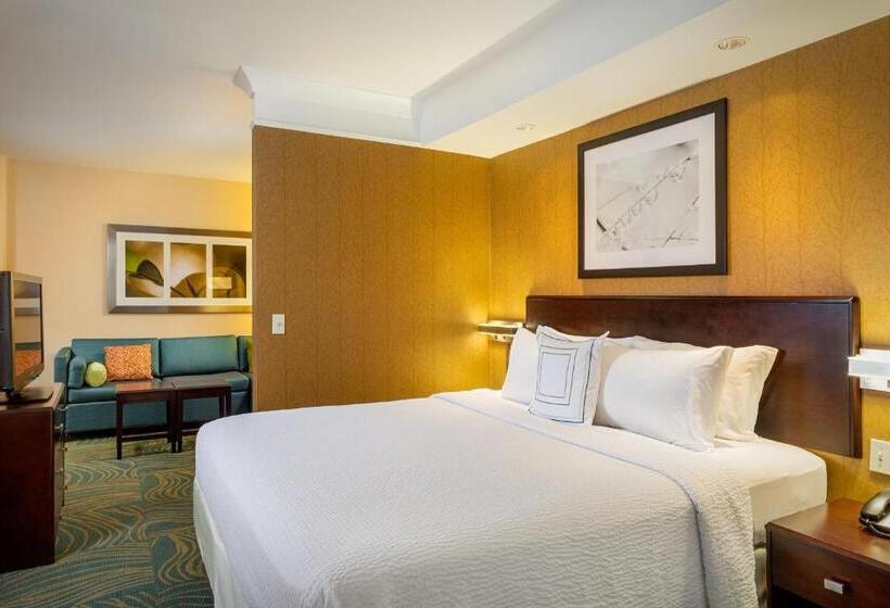 Springhill Suites By Marriott Modesto