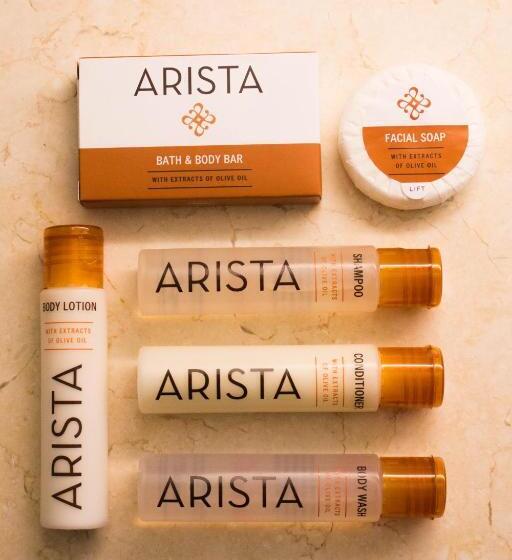 فندق Arista