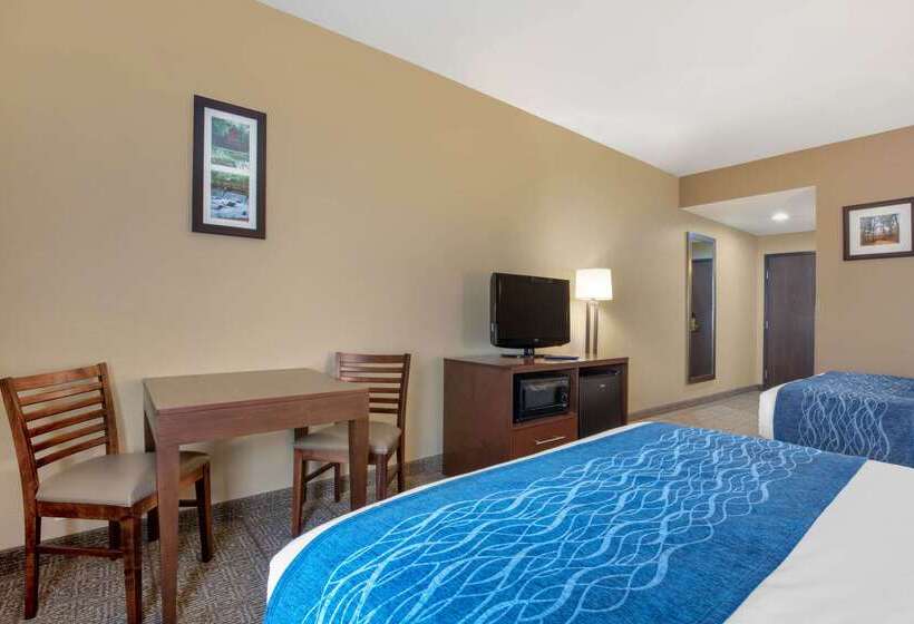 酒店 Comfort Inn Us 60 63