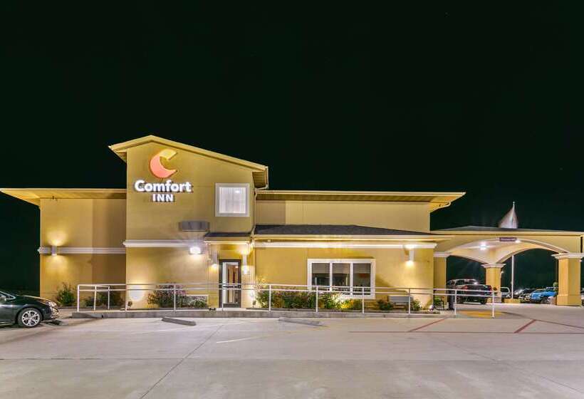酒店 Comfort Inn Us 60 63