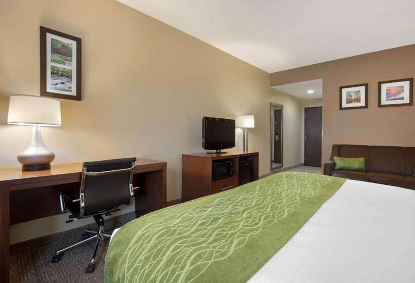 Отель Comfort Inn Us 60 63