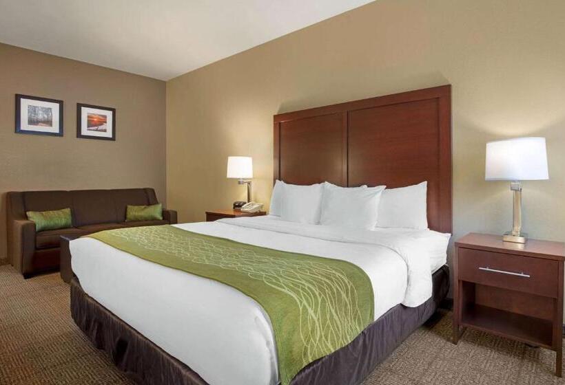 酒店 Comfort Inn Us 60 63