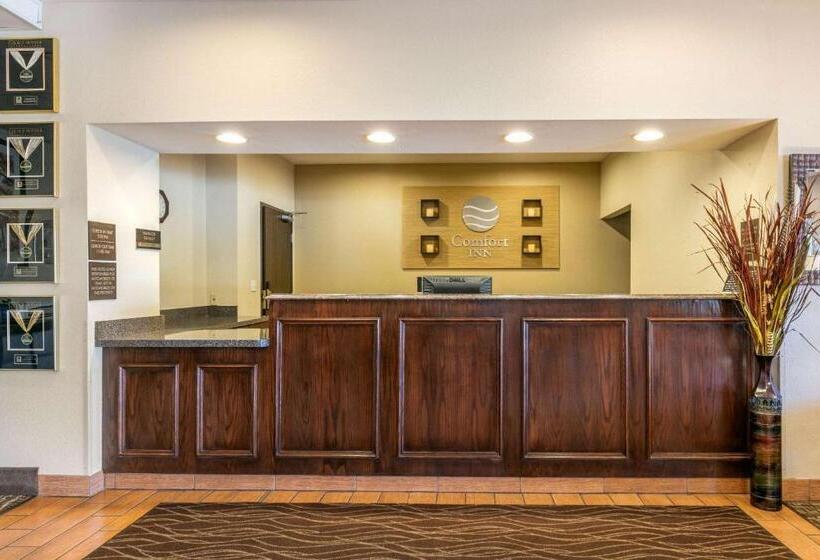 酒店 Comfort Inn Us 60 63