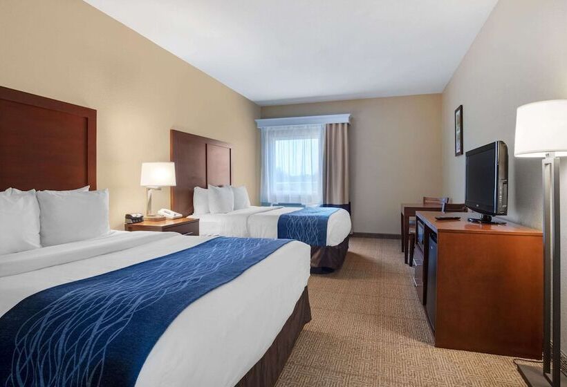 酒店 Comfort Inn Us 60 63