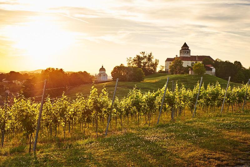 בית מלון כפרי Loisium Wine & Spa Resort Südsteiermark