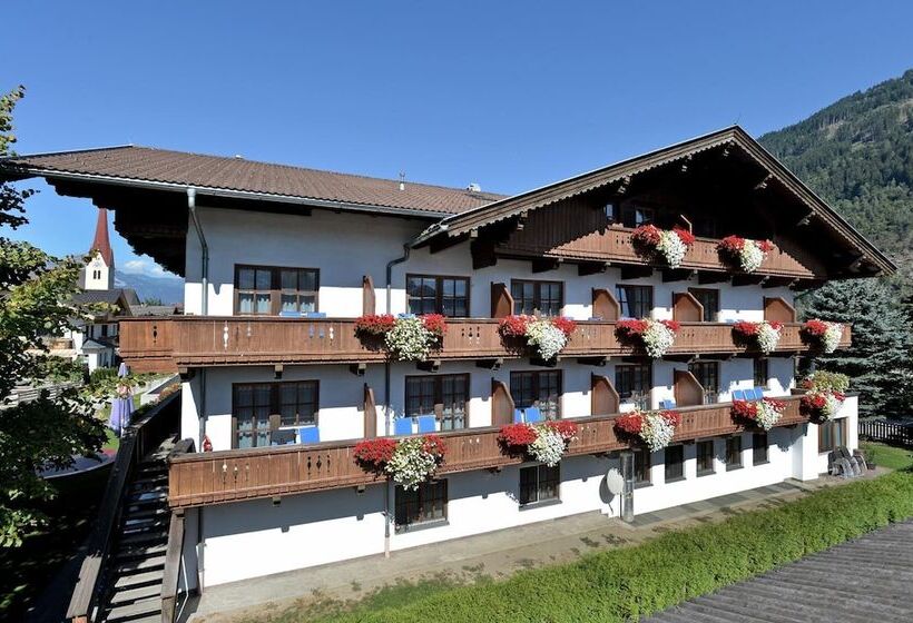 فندق Pension Traube