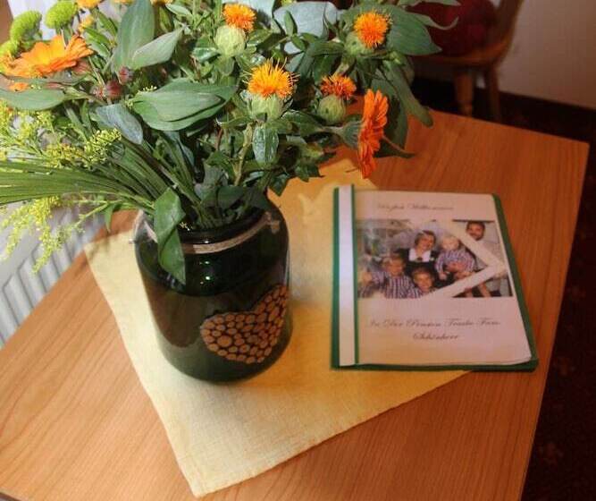 فندق Pension Traube