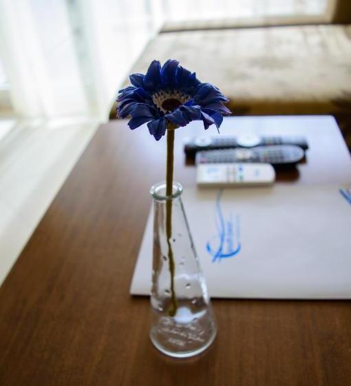 Fotos del hotel South Pearl Apart:  8