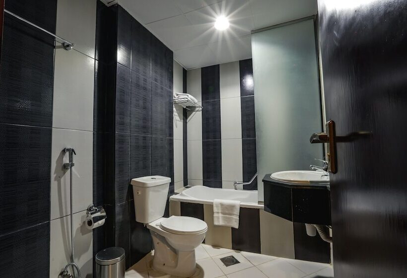 Fotos del hotel Delmon Palace:  17