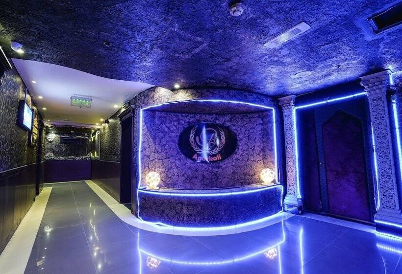 Fotos del hotel Delmon Palace:  27