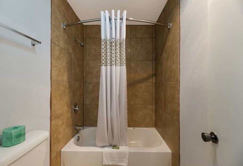 هتل Americas Best Value Inn Alpine