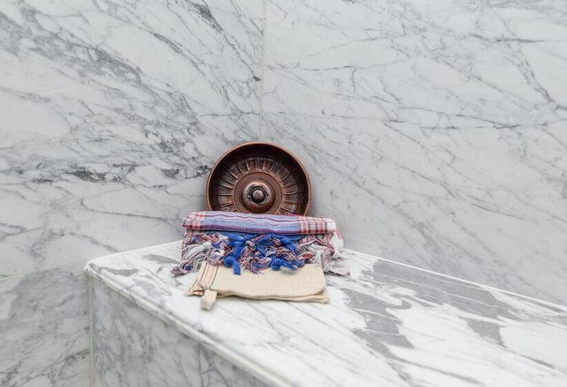 Fotos del hotel Barceló Istanbul:  60