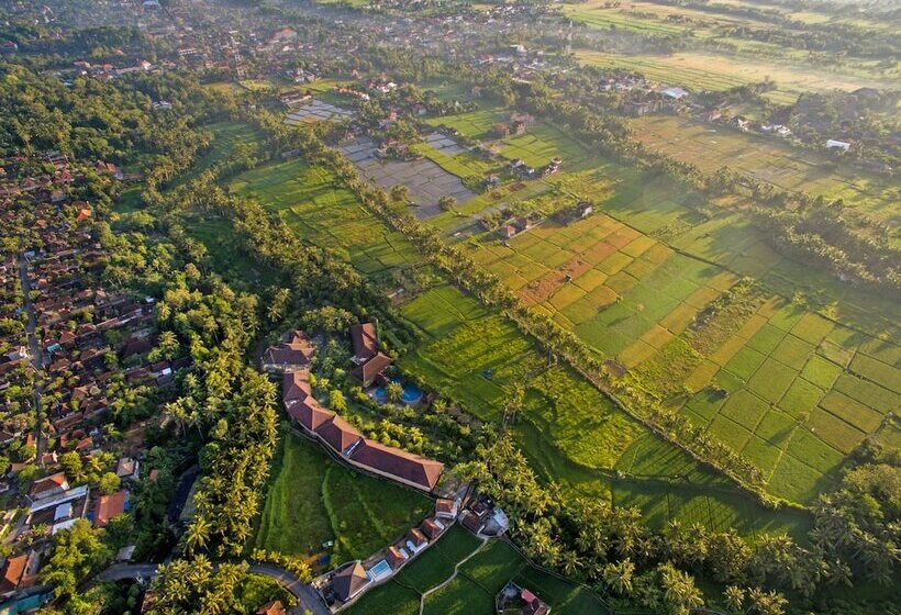 Fotos del hotel Bhuwana Ubud  And Farming:  7