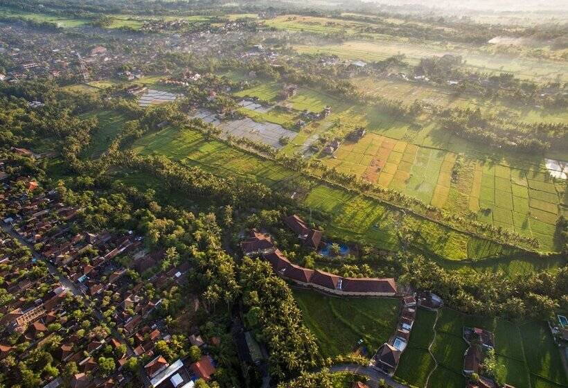 Fotos del hotel Bhuwana Ubud  And Farming:  10