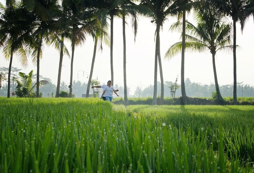 Fotos del hotel Bhuwana Ubud  And Farming:  26