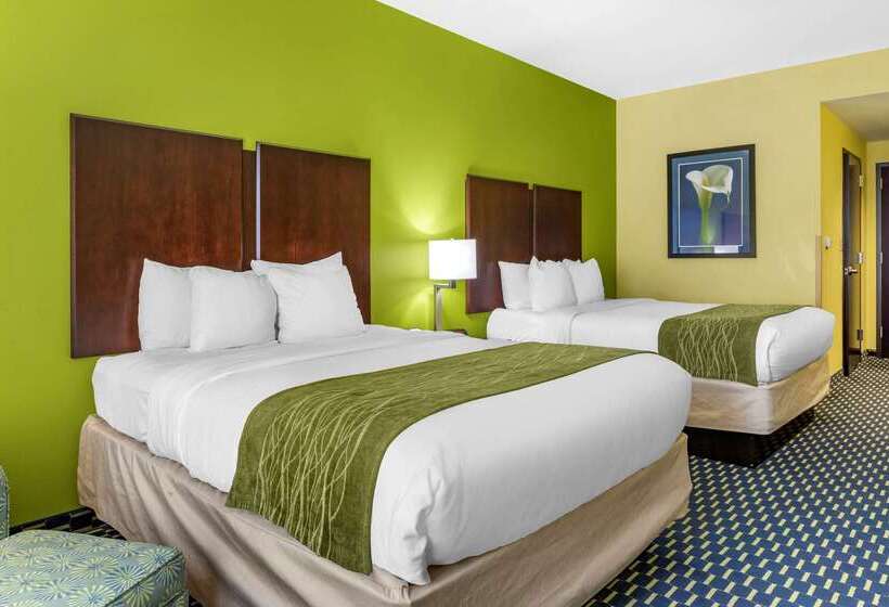 فندق Comfort Inn Athens