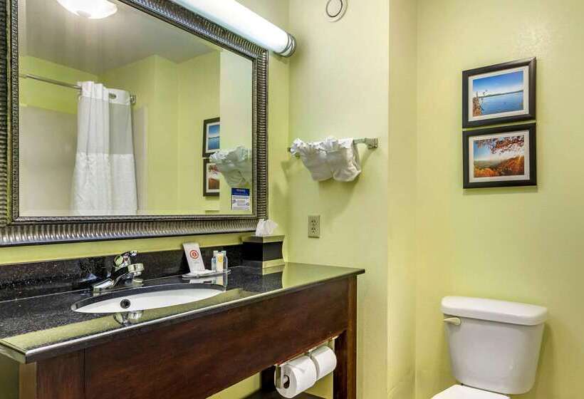 בית מלון כפרי Comfort Inn Athens
