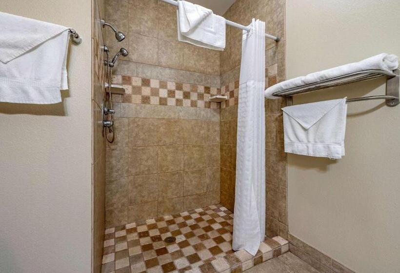 בית מלון כפרי Comfort Inn Hebronlowell Area
