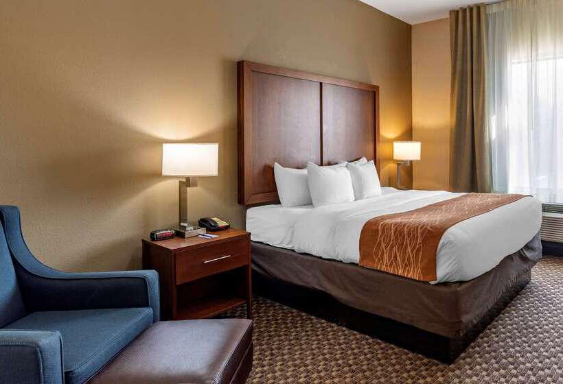 בית מלון כפרי Comfort Inn & Suites Atokamillington