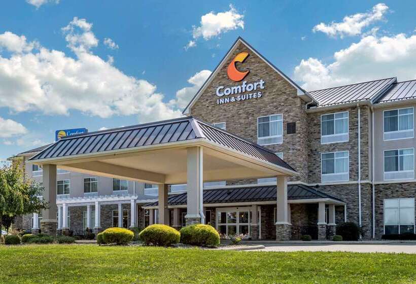 هتل Comfort Inn & Suites