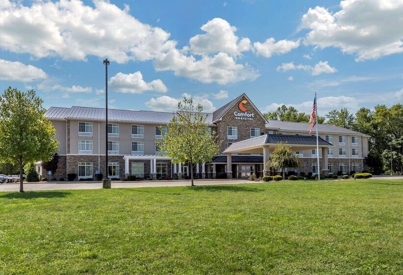 هتل Comfort Inn & Suites