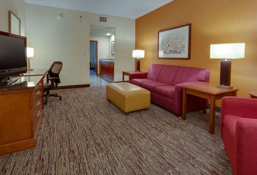 בית מלון כפרי Drury Inn & Suites Baton Rouge