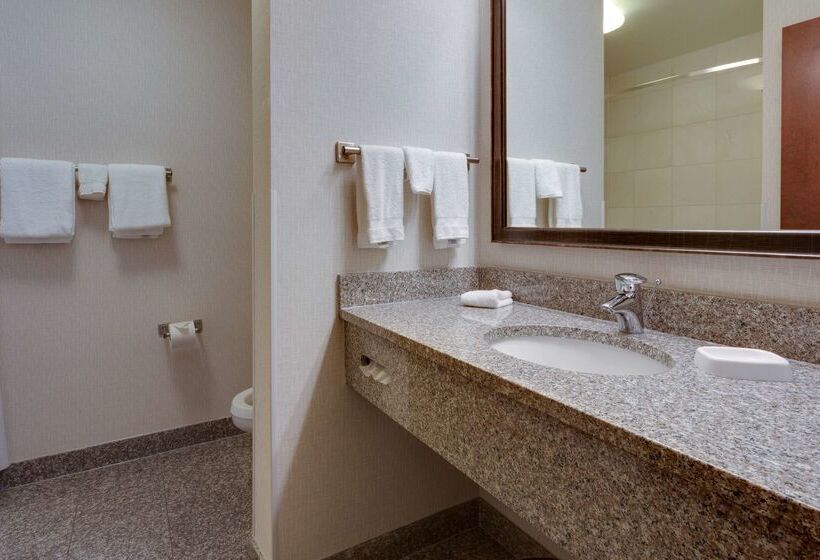 בית מלון כפרי Drury Inn & Suites Baton Rouge