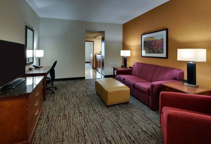 בית מלון כפרי Drury Inn & Suites Charlotte Northlake