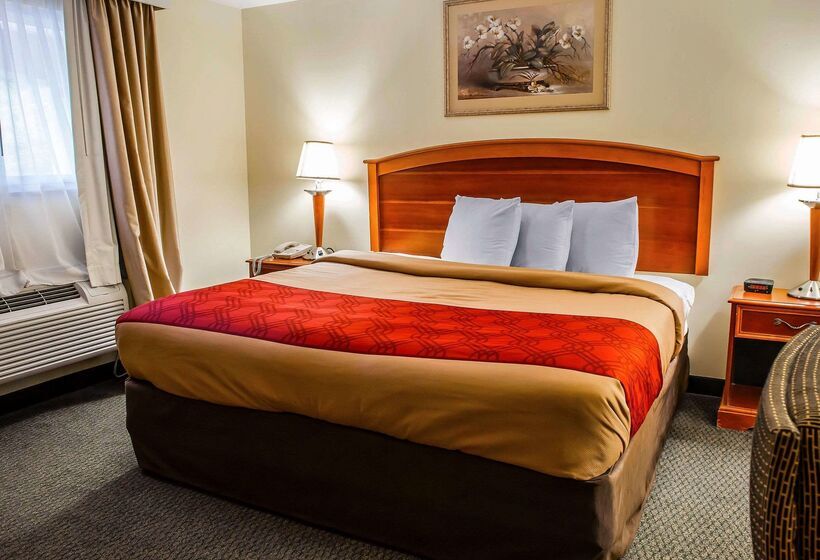 هتل Econo Lodge Jefferson Hills Hwy 51