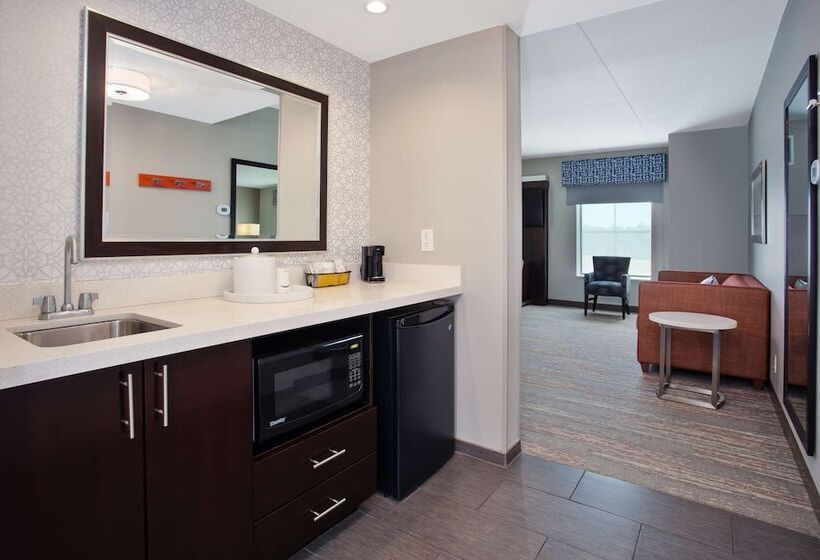 هتل Hampton Inn & Suites Columbia/southeastft. Jackson