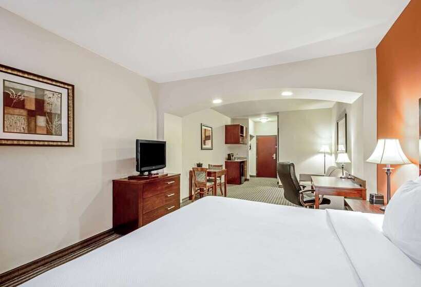 ホテル La Quinta Inn & Suites By Wyndham Woodward